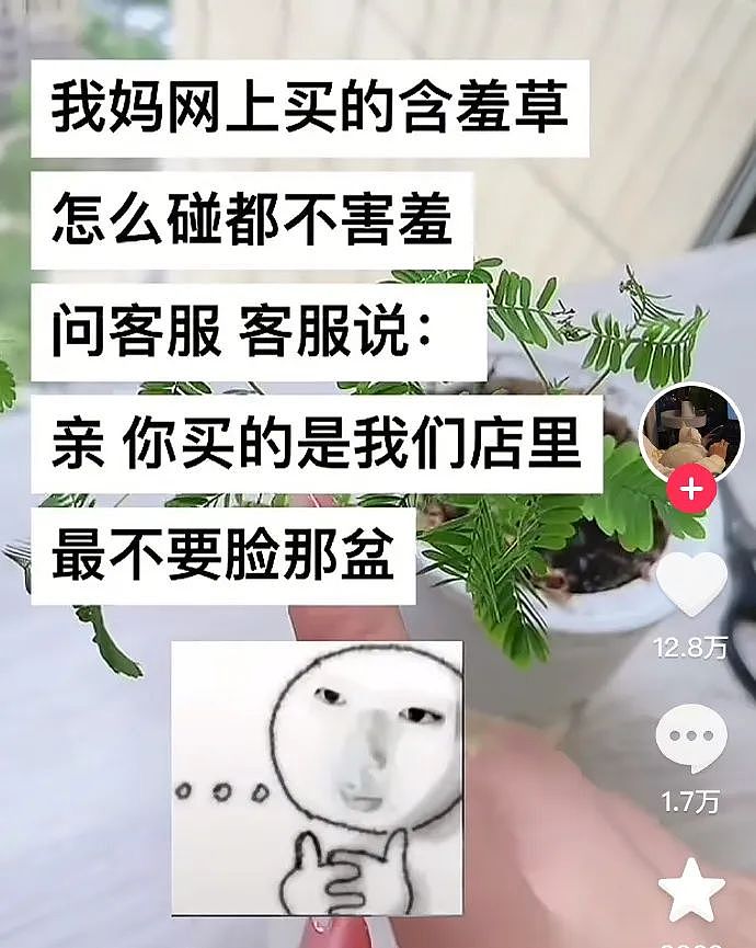 【爆笑】“现在的短剧内容能有多逆天?”哈哈哈哈哈哈把我当傻子是吧(组图) - 36