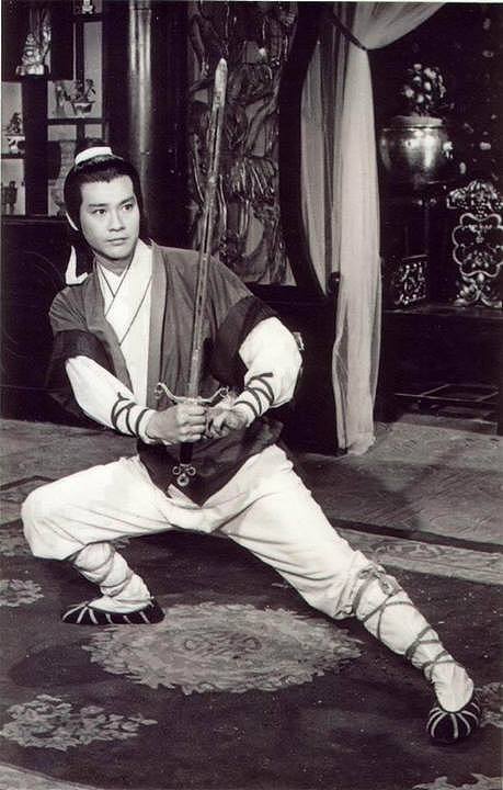 李连杰、吕颂贤连曝病重 | 港台前“大侠”们现状不佳?各有原因(组图) - 32