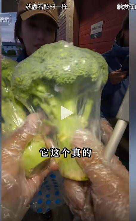身价140亿中国网红夫妇挪威捡垃圾，叹好东西太多（组图） - 10