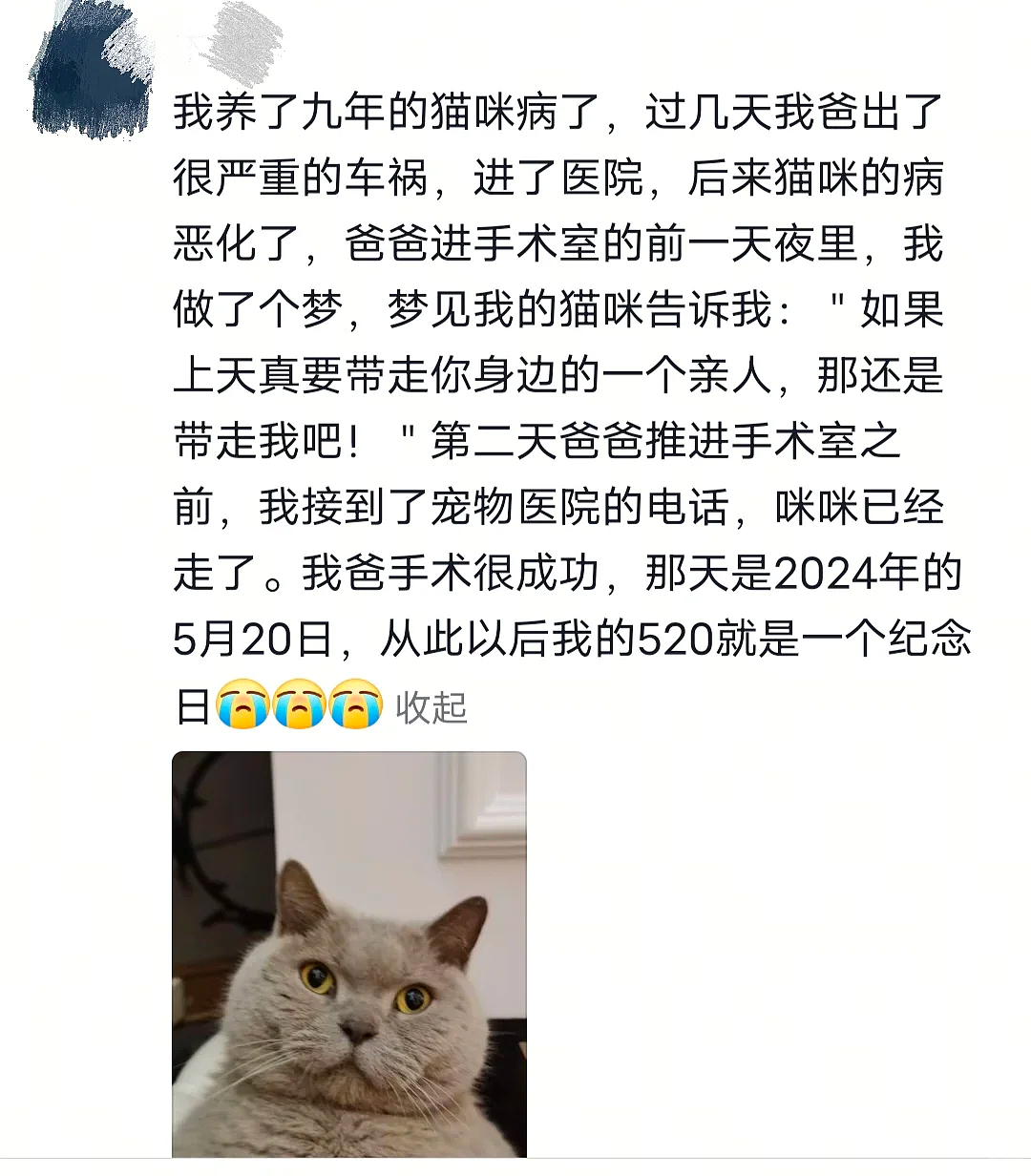 【爆笑】“45岁阿姨说要分期买我的小卡....”哈哈哈哈哈哈哈笑点过多了（组图） - 74