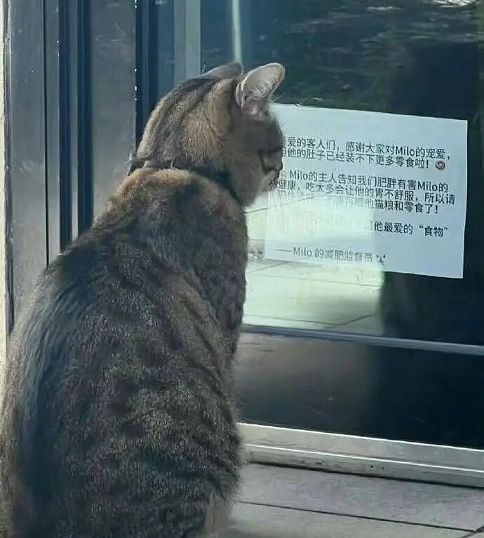 【爆笑】“找女朋友借钱吃饭被嫌弃下头？”啊啊啊看完内容我沉默了...（组图） - 51