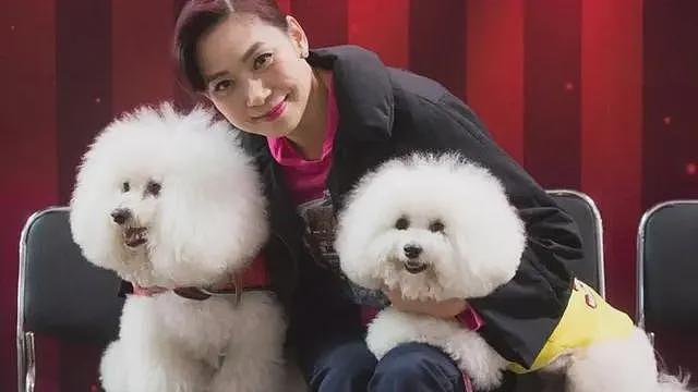 63岁邝美云献唱2025港姐决赛，气质碾压冠军，看不见白头发疑染发（组图） - 25