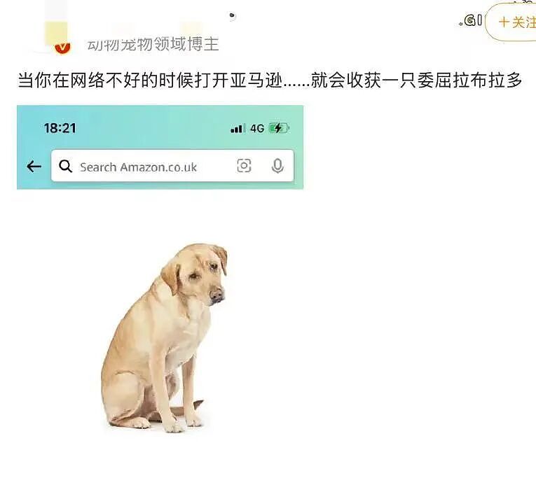 【爆笑】“找女朋友借钱吃饭被嫌弃下头？”啊啊啊看完内容我沉默了...（组图） - 33