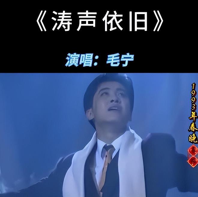 顶流歌手、8次登上春晚，却沦为走穴歌手的毛宁，给大家敲响警钟（组图） - 9