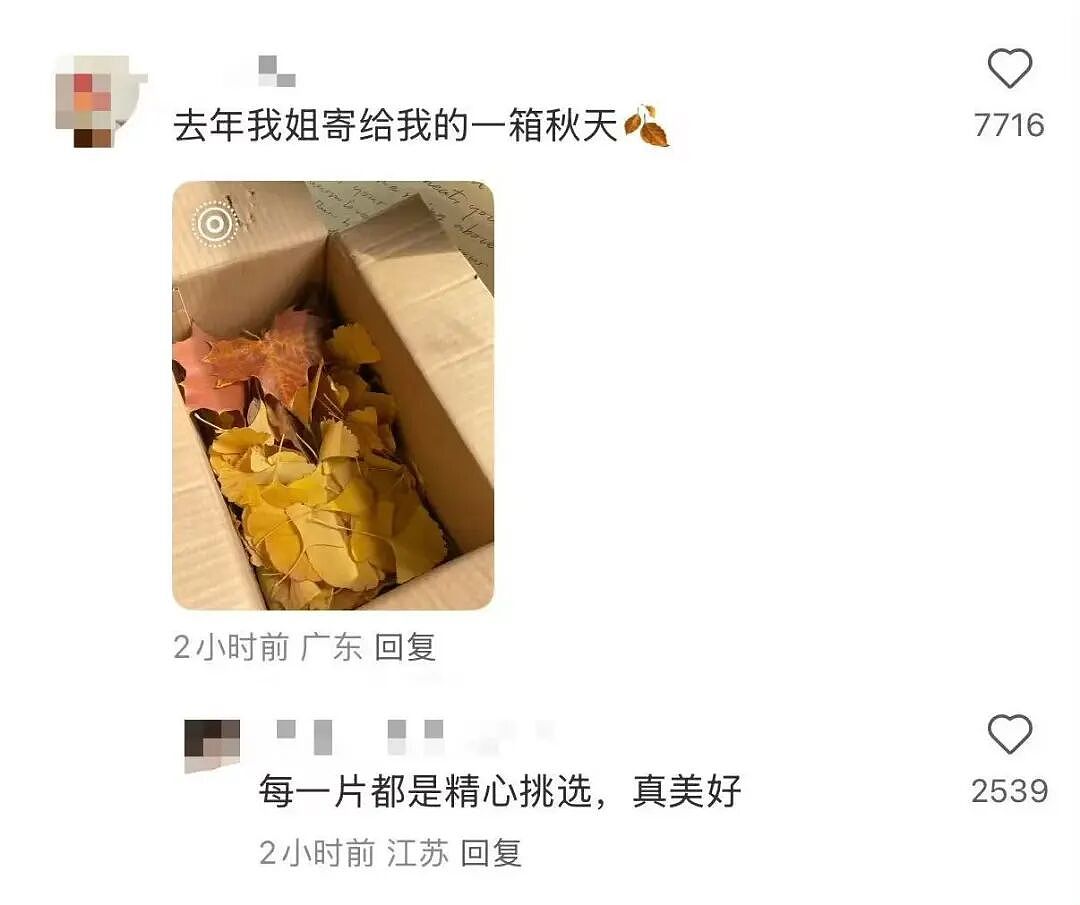 【爆笑】“第一次去山东男友家这些菜算重视吗？”哈哈哈一辈子没见过的丰盛程度（组图） - 40