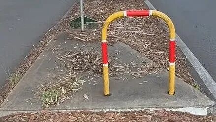 不满Council效率低，澳洲园丁1人干完4人的活！挂上网后网友炸了....（组图） - 2