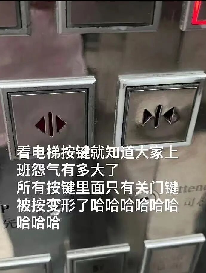 【爆笑】“第一次去山东男友家这些菜算重视吗？”哈哈哈一辈子没见过的丰盛程度（组图） - 44