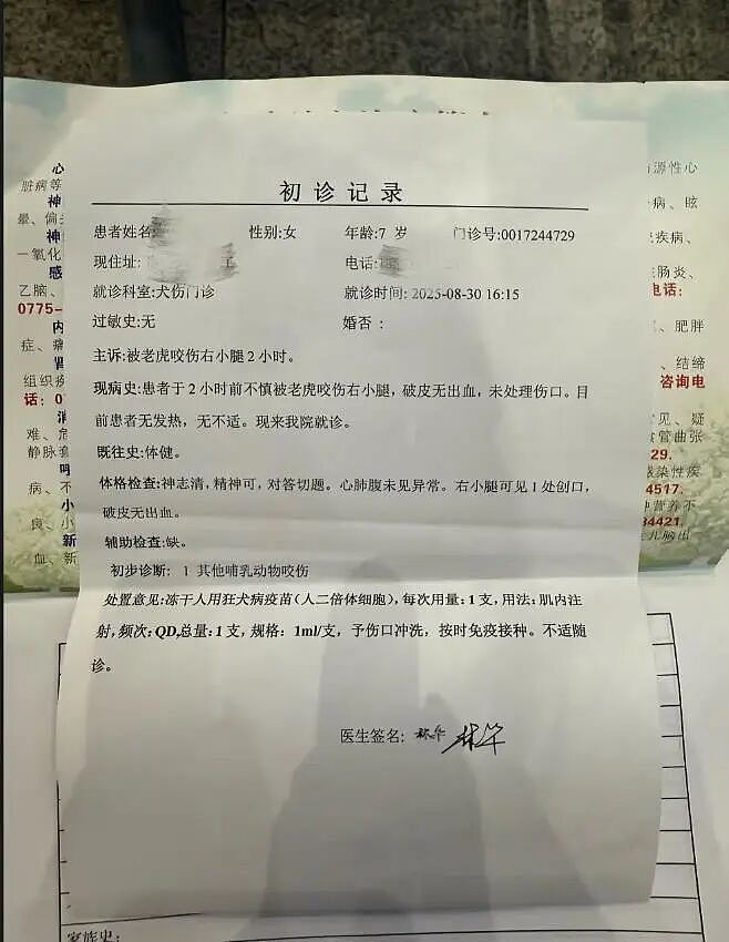 7岁女童与小老虎互动被咬伤,动物园最新回应(组图) - 2