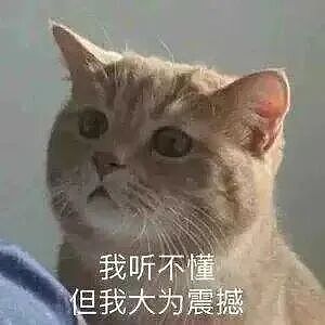 巴黎世家8200元新包像超市塑料袋，有种有钱人假装普通人的美！奢侈品迷惑行为大赏（组图） - 54