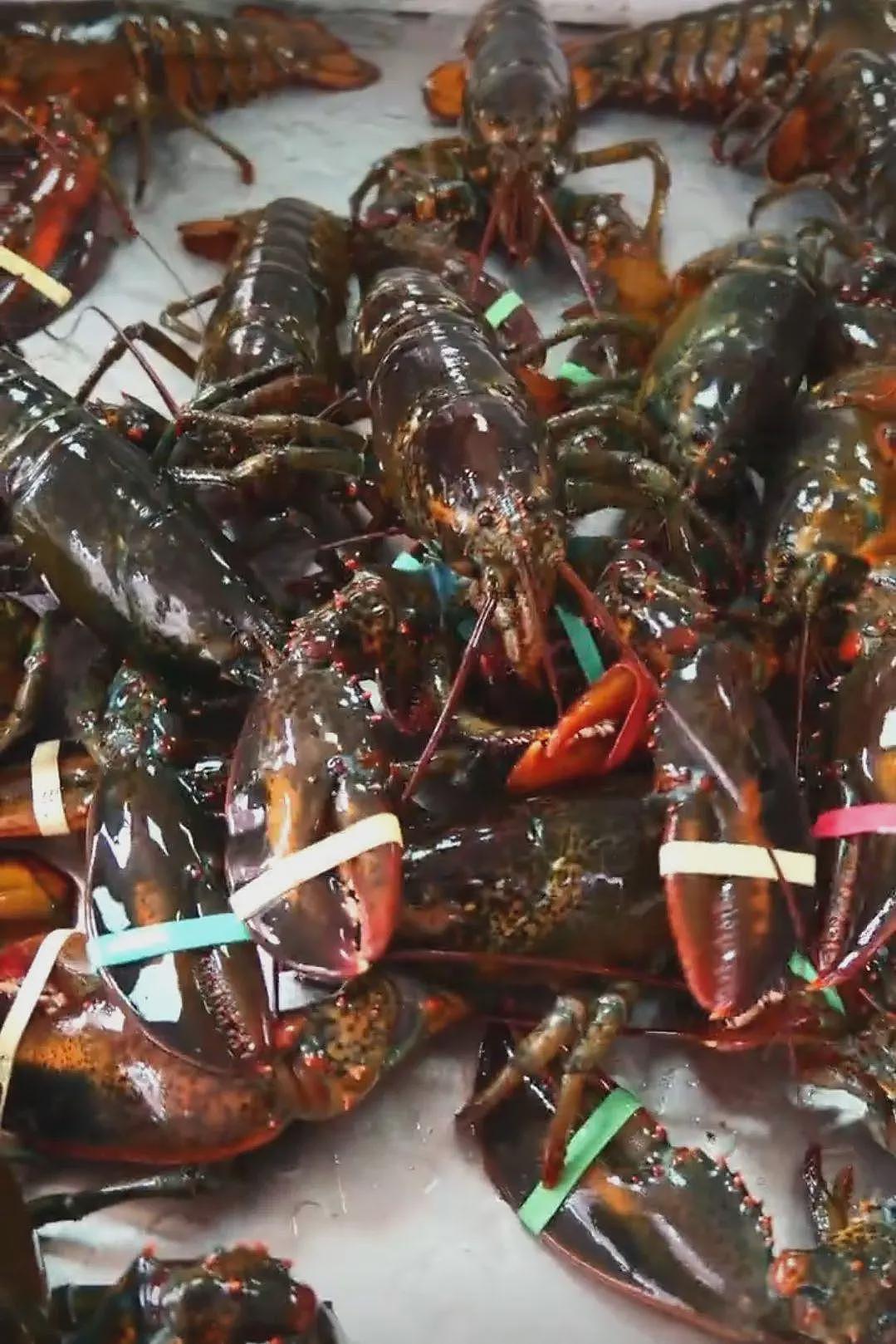 堪比星级酒店！河南一幼儿园餐食走红：一天20元餐费能吃到龙虾、鲍鱼（组图） - 2