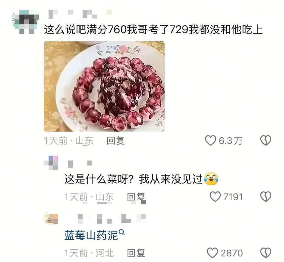【爆笑】“第一次去山东男友家这些菜算重视吗？”哈哈哈一辈子没见过的丰盛程度（组图） - 6