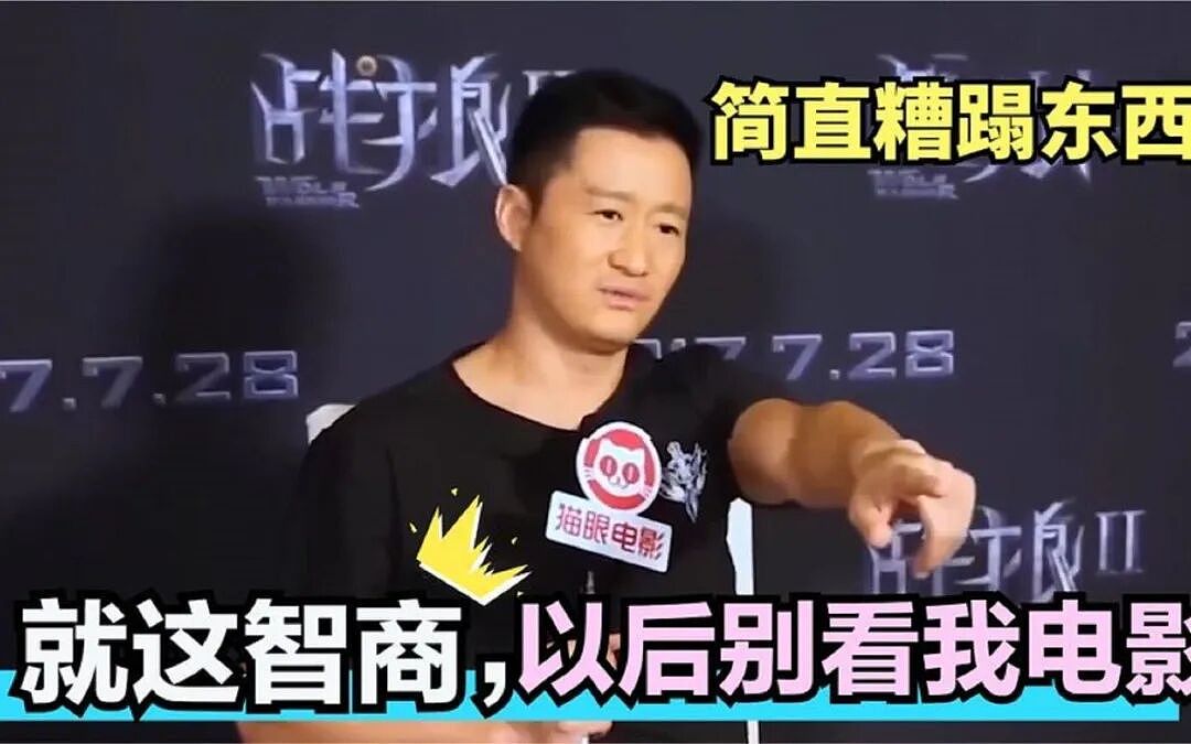 吴京快被搞成“马保国二世”了，胡锡进送上的“安慰”很有玄机（组图） - 12