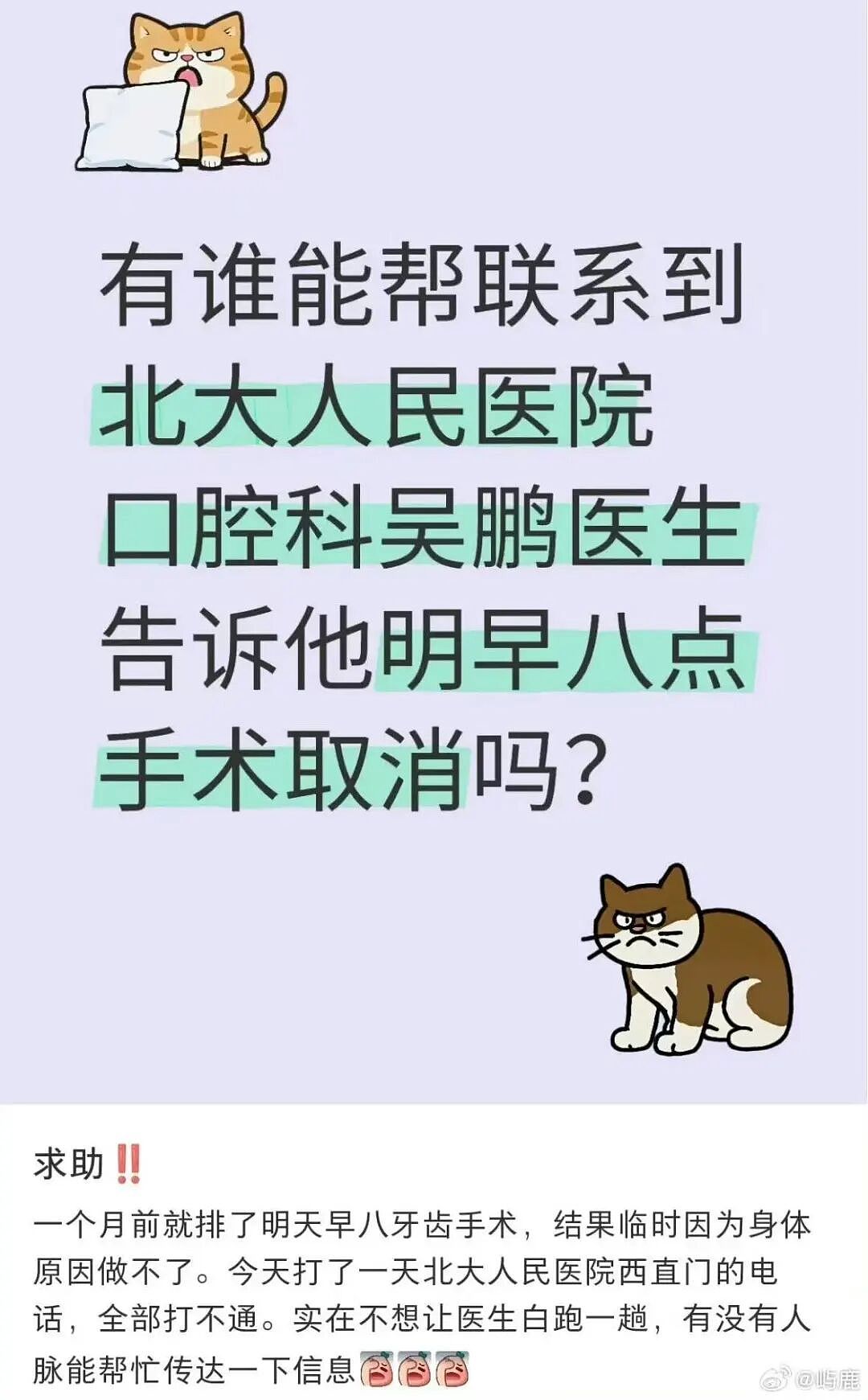 【爆笑】“第一次去山东男友家这些菜算重视吗？”哈哈哈一辈子没见过的丰盛程度（组图） - 66