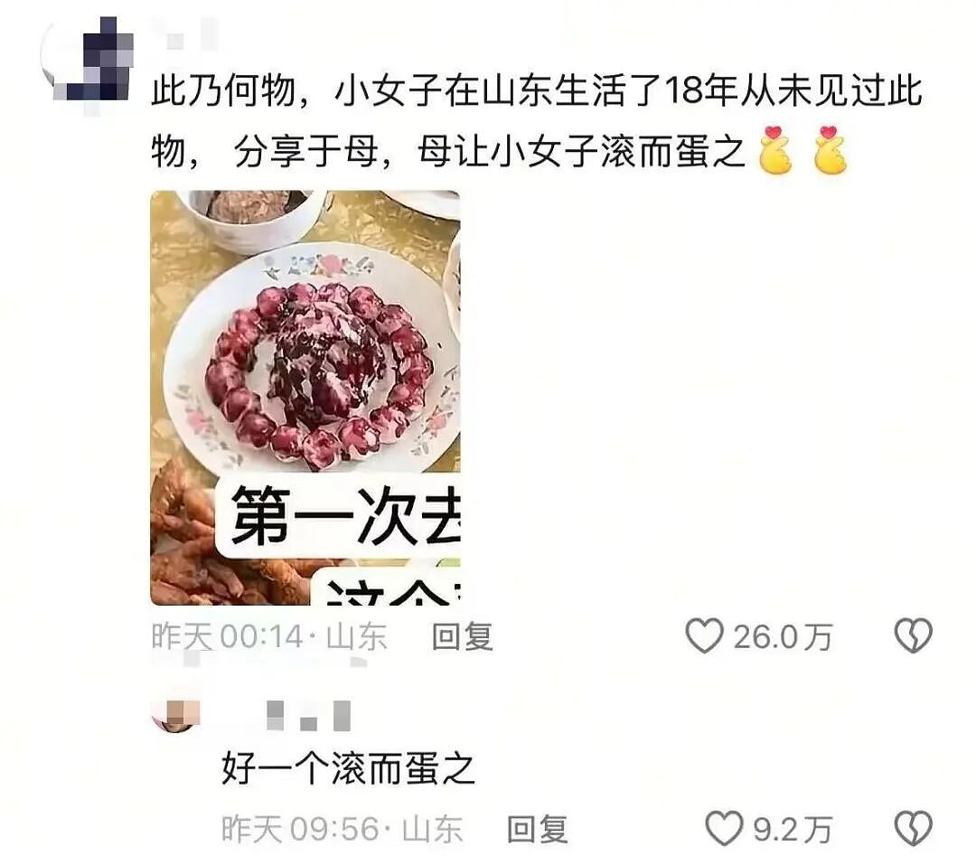 【爆笑】“第一次去山东男友家这些菜算重视吗？”哈哈哈一辈子没见过的丰盛程度（组图） - 7