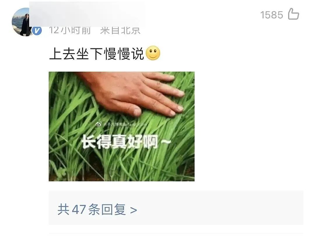 巴黎世家8200元新包像超市塑料袋，有种有钱人假装普通人的美！奢侈品迷惑行为大赏（组图） - 67