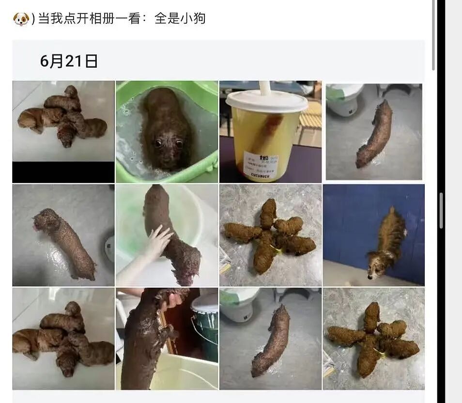 【爆笑】“第一次去山东男友家这些菜算重视吗？”哈哈哈一辈子没见过的丰盛程度（组图） - 20