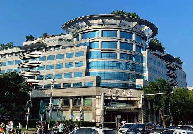 丈夫失联，儿子逆袭，她的好日子来了？（组图） - 15