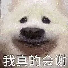 巴黎世家8200元新包像超市塑料袋，有种有钱人假装普通人的美！奢侈品迷惑行为大赏（组图） - 32