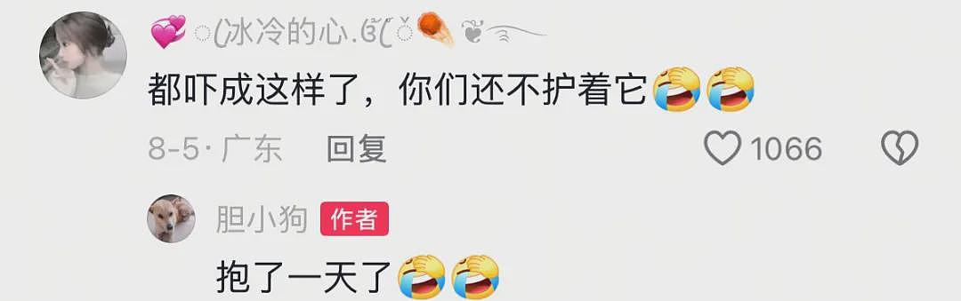 【宠物】主人发现狗子抖个不停，还以为是患上病了，网友：我甚至怀疑过是你脚的问题（组图） - 3