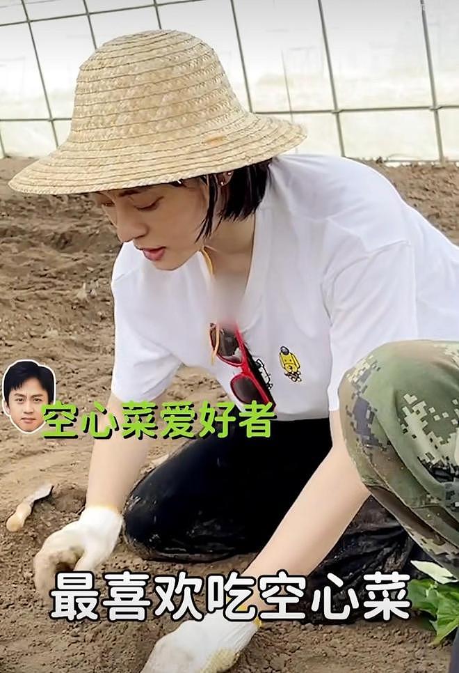 曾黎分享种豇豆经验，在土地勤劳耕作，没了明星光环更像农村妇女（组图） - 12
