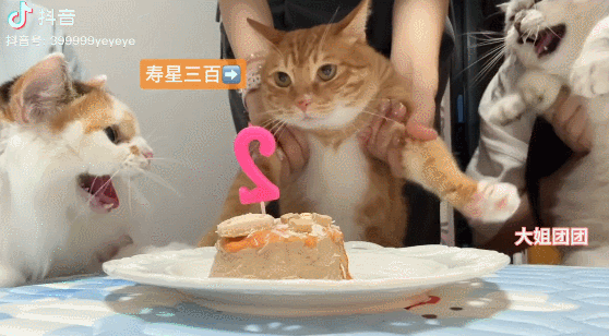【爆笑】婆婆吐槽 “睡儿子儿媳中间引发口角”！评论区刚要开骂，看到儿媳笑出声：你不行让我去睡中间...（组图） - 18