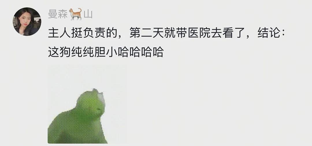 【宠物】主人发现狗子抖个不停，还以为是患上病了，网友：我甚至怀疑过是你脚的问题（组图） - 2
