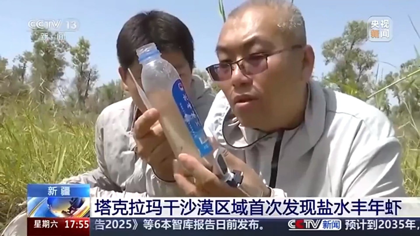 新疆沙漠发现4亿年历史物种盐水丰年虾，为盐碱水养殖提供参考（组图） - 5