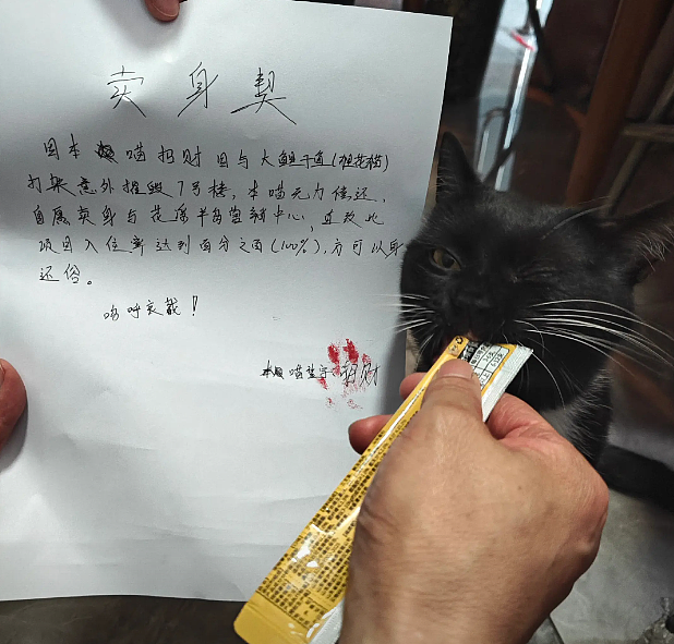 【爆笑】婆婆吐槽 “睡儿子儿媳中间引发口角”！评论区刚要开骂，看到儿媳笑出声：你不行让我去睡中间...（组图） - 30
