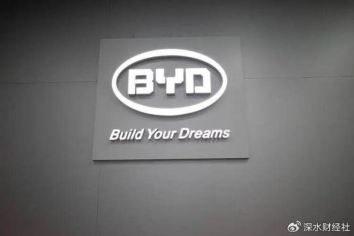 对外宣传海外卖爆,可是比亚迪赚的钱在哪(组图) - 2