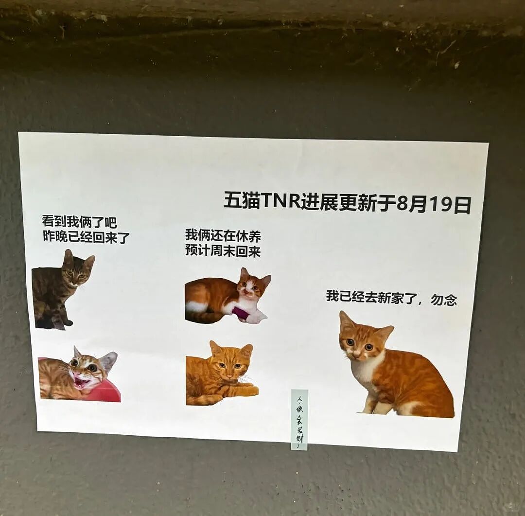 【爆笑】婆婆吐槽 “睡儿子儿媳中间引发口角”！评论区刚要开骂，看到儿媳笑出声：你不行让我去睡中间...（组图） - 26