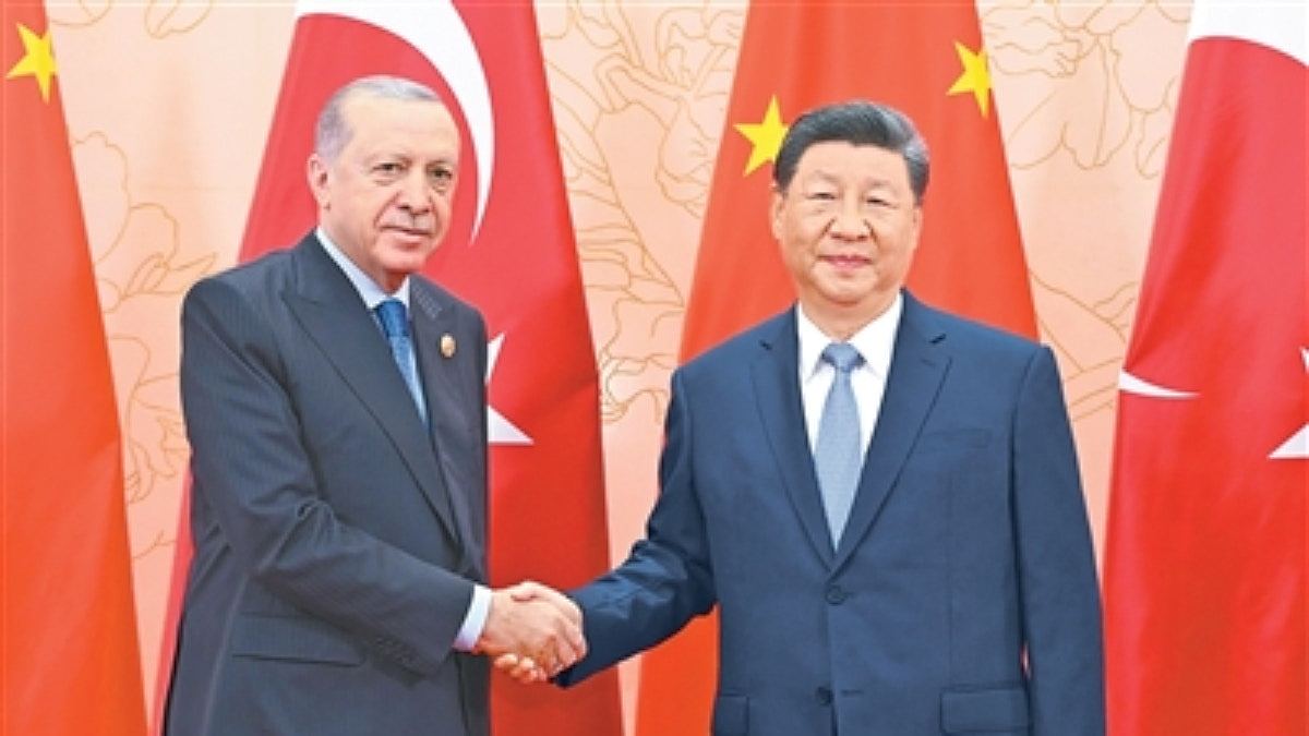 不止莫迪，为何一些外国领袖出席上合却不参加北京阅兵？（组图） - 4