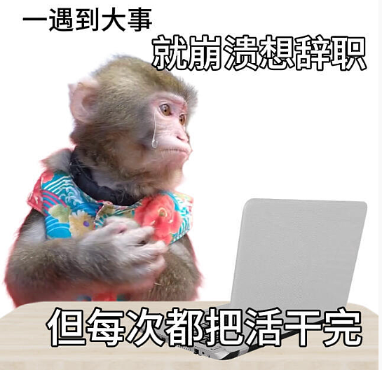 【爆笑】月薪2万的工作，有多人敢去？网友看完：确实是有点为难了！（组图） - 28