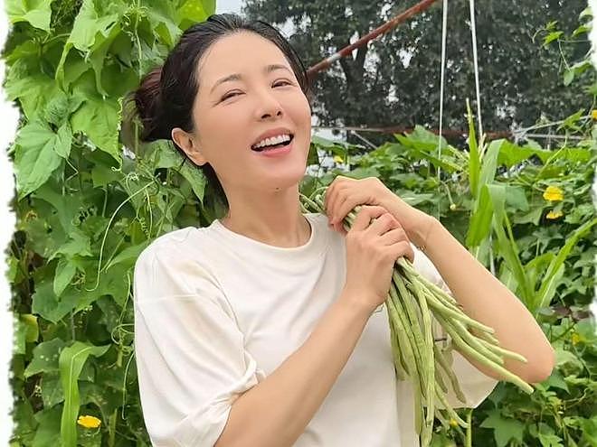 曾黎分享种豇豆经验，在土地勤劳耕作，没了明星光环更像农村妇女（组图） - 8