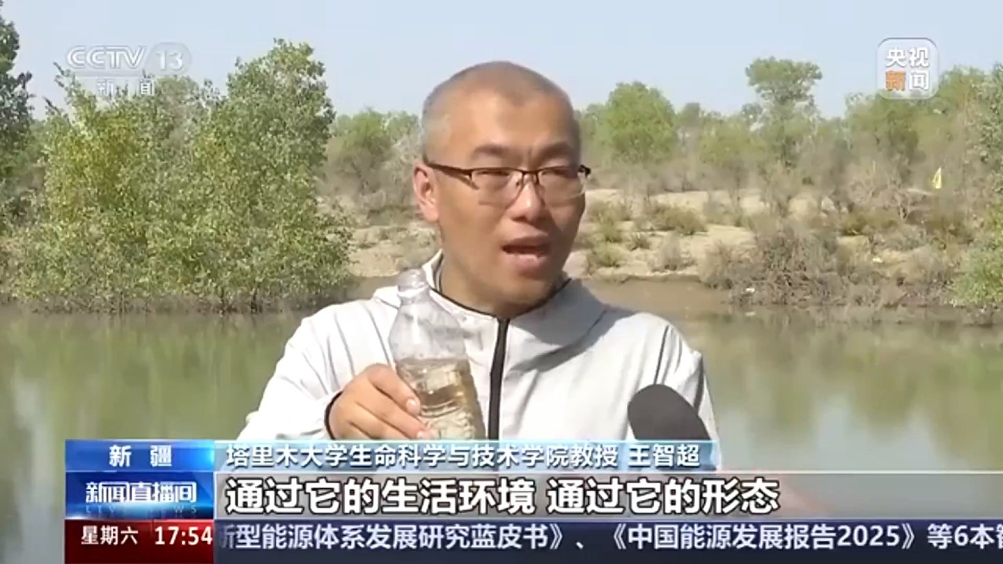 新疆沙漠发现4亿年历史物种盐水丰年虾，为盐碱水养殖提供参考（组图） - 3