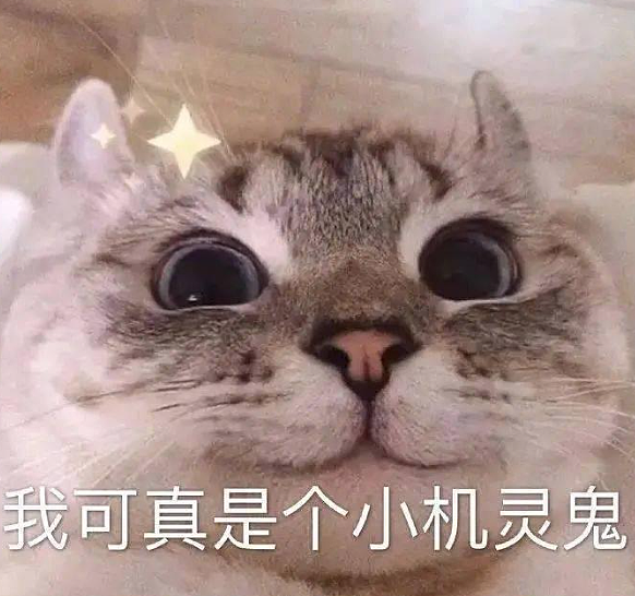 中国小伙在新加坡赌输5万、求职失败，竟故意犯法拿特别准证，只为卖“春药”牟利（组图） - 6
