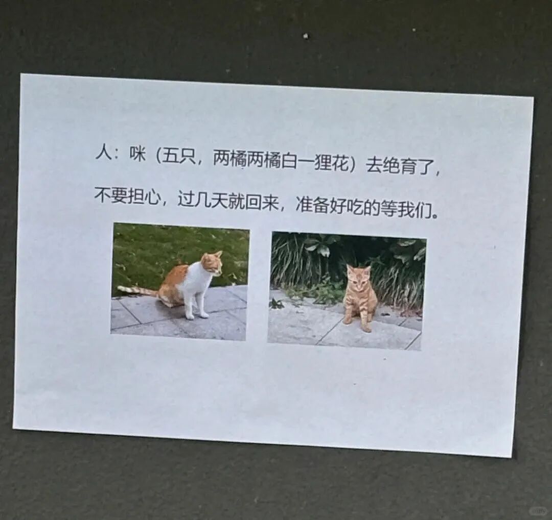 【爆笑】婆婆吐槽 “睡儿子儿媳中间引发口角”！评论区刚要开骂，看到儿媳笑出声：你不行让我去睡中间...（组图） - 25