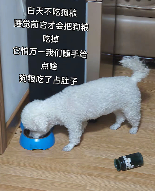 【爆笑】月薪2万的工作，有多人敢去？网友看完：确实是有点为难了！（组图） - 34