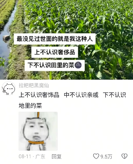 【爆笑】月薪2万的工作，有多人敢去？网友看完：确实是有点为难了！（组图） - 16