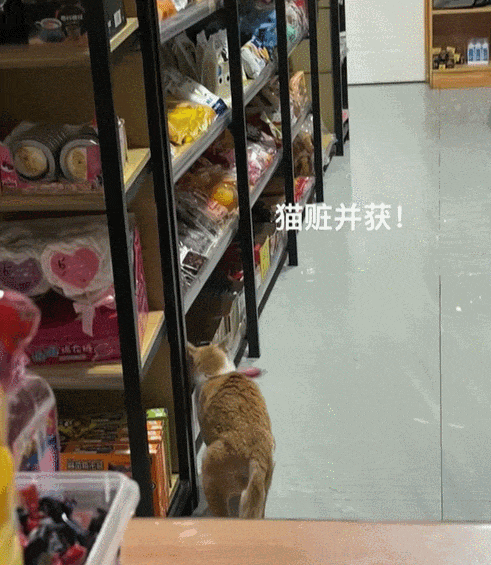 【爆笑】婆婆吐槽 “睡儿子儿媳中间引发口角”！评论区刚要开骂，看到儿媳笑出声：你不行让我去睡中间...（组图） - 24
