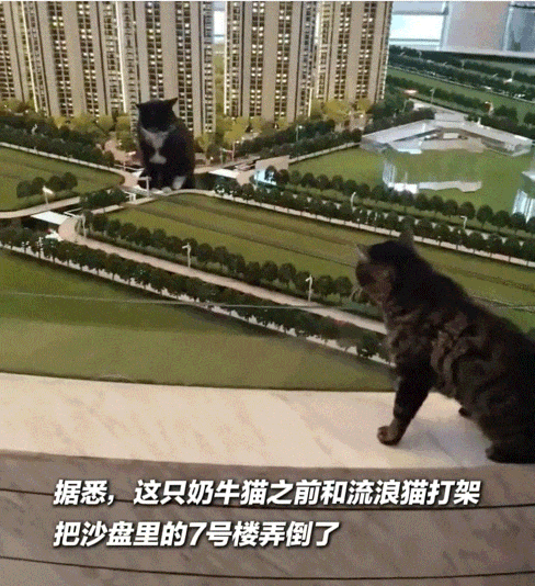 【爆笑】婆婆吐槽 “睡儿子儿媳中间引发口角”！评论区刚要开骂，看到儿媳笑出声：你不行让我去睡中间...（组图） - 29