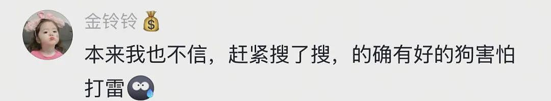 【宠物】主人发现狗子抖个不停，还以为是患上病了，网友：我甚至怀疑过是你脚的问题（组图） - 4