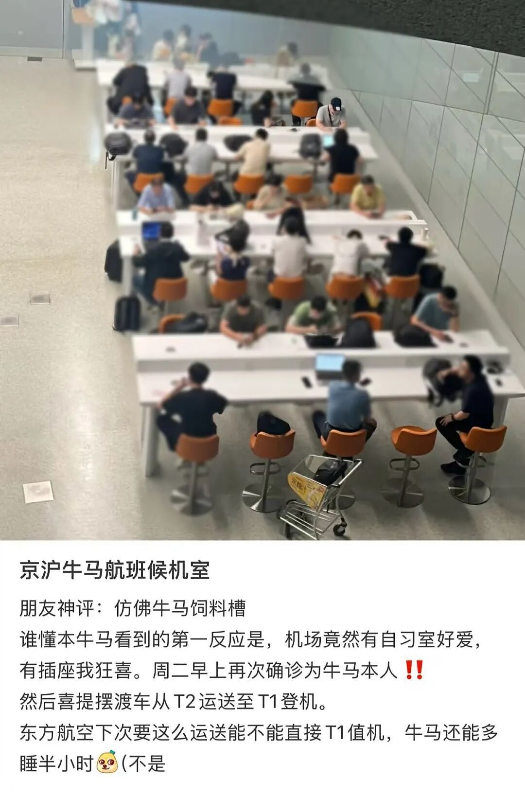 中国班味儿最冲的地方：上海虹桥机场（组图） - 26