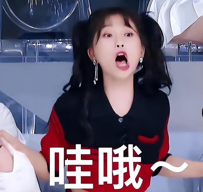 官媒点名！揭开29岁虞书欣处境，孙红雷的话，有人信了（组图） - 15
