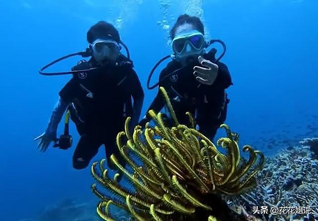 46岁章子怡晒七夕视频！褪去明星光环，携手儿女探索世界的每一面（组图） - 6