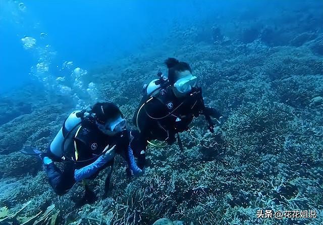 46岁章子怡晒七夕视频！褪去明星光环，携手儿女探索世界的每一面（组图） - 5