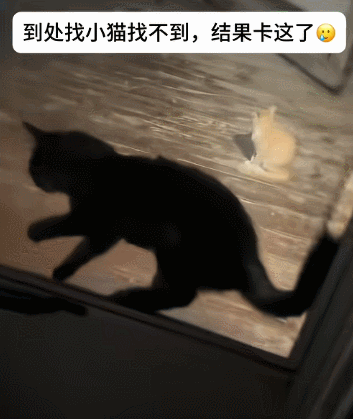 【爆笑】婆婆吐槽 “睡儿子儿媳中间引发口角”！评论区刚要开骂，看到儿媳笑出声：你不行让我去睡中间...（组图） - 3