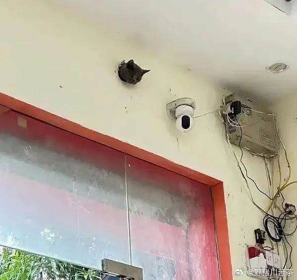 【爆笑】男朋友给前任介绍了一份月入过万的工作…？啊啊啊没有一个省油的灯（组图） - 50