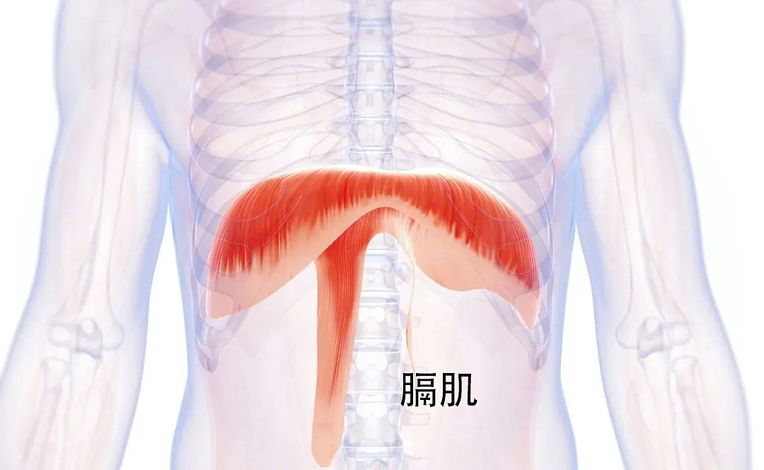 学会用“肚脐呼吸”,3个好处不请自来(组图) - 4