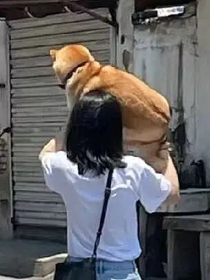 【爆笑】男朋友给前任介绍了一份月入过万的工作…？啊啊啊没有一个省油的灯（组图） - 48