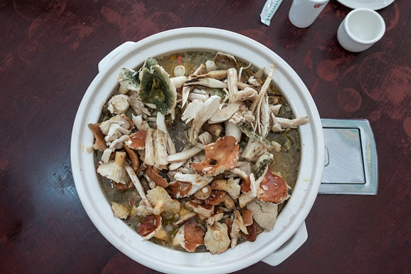 8名中国游客在国外集体中毒！采摘食用毒蘑菇后紧急送医，医生都看傻了...（组图） - 10